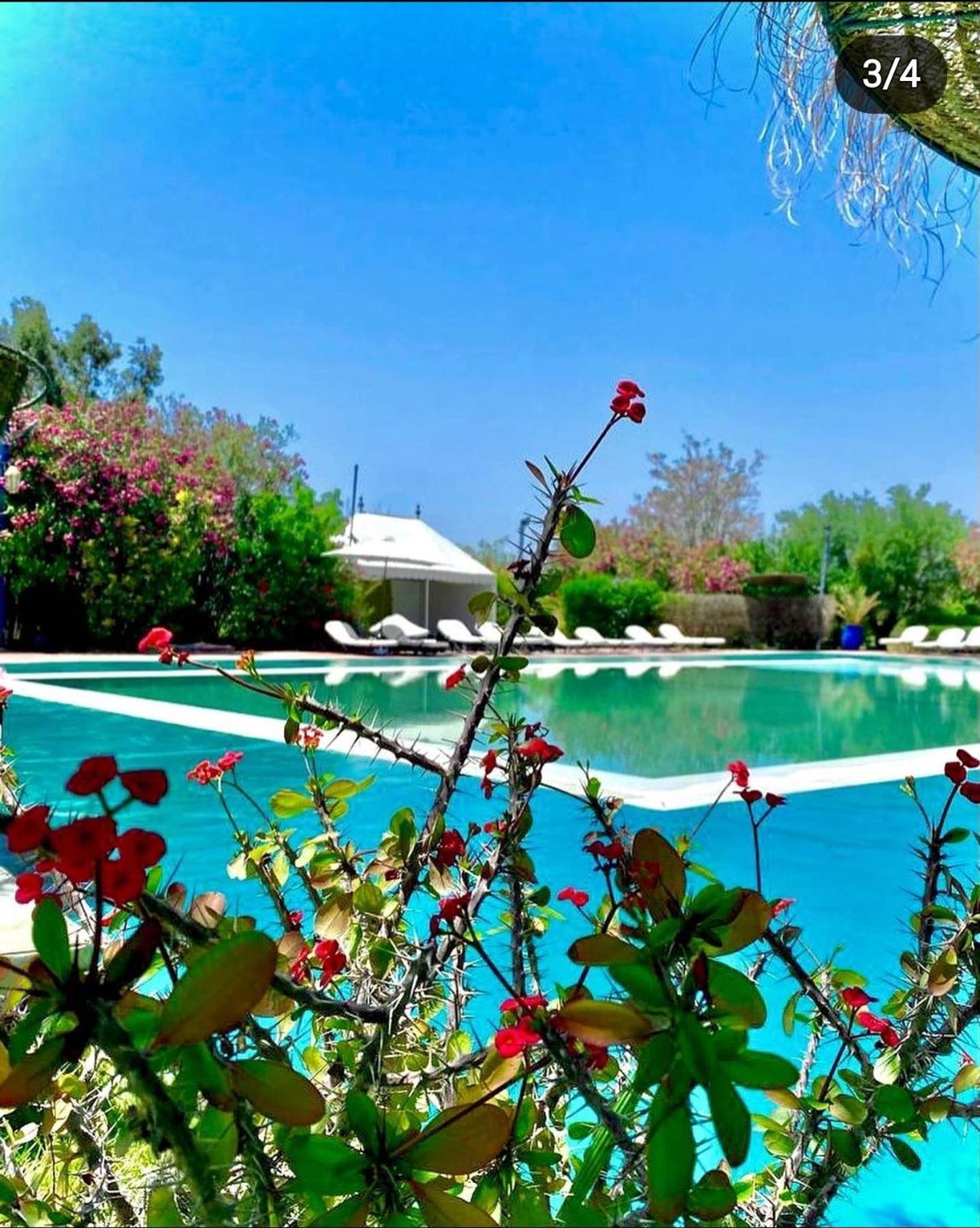 מלון מרקש Les Jardins D Isis מראה חיצוני תמונה